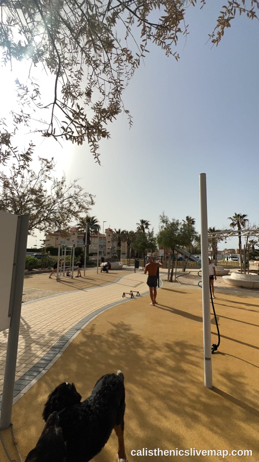 Calisthenics Park