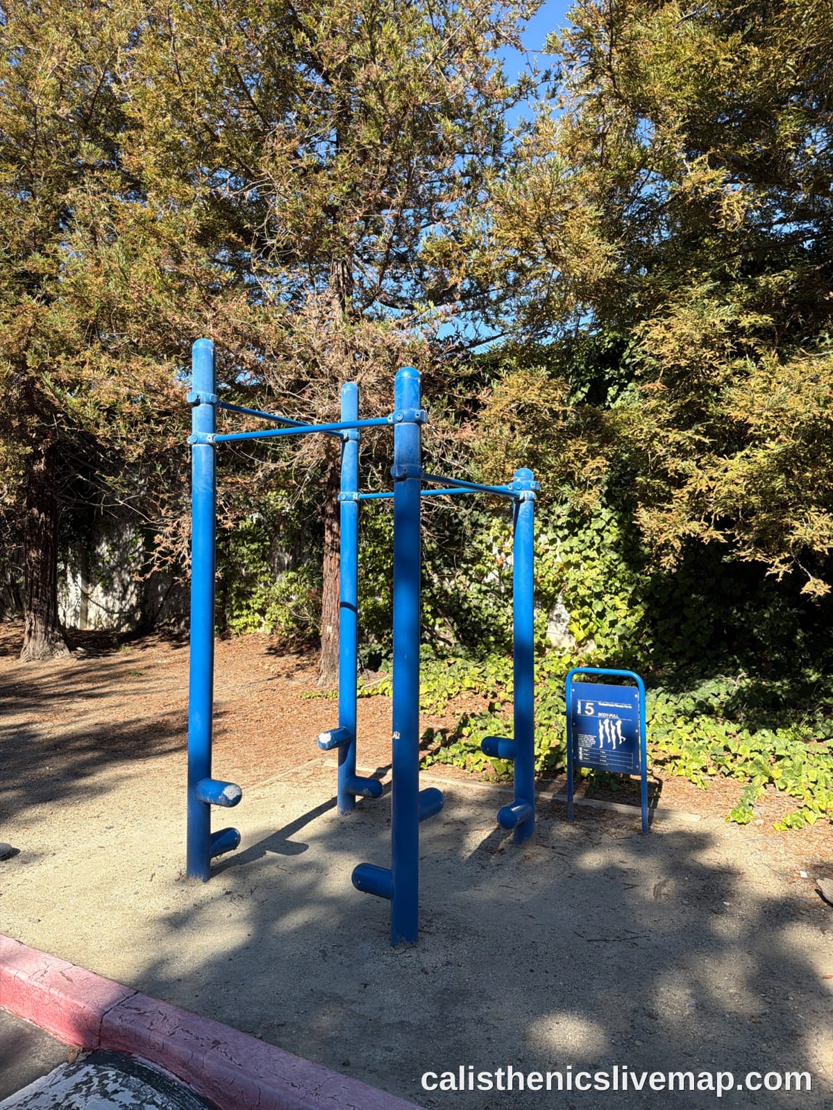 automation parkway pull-up bars
