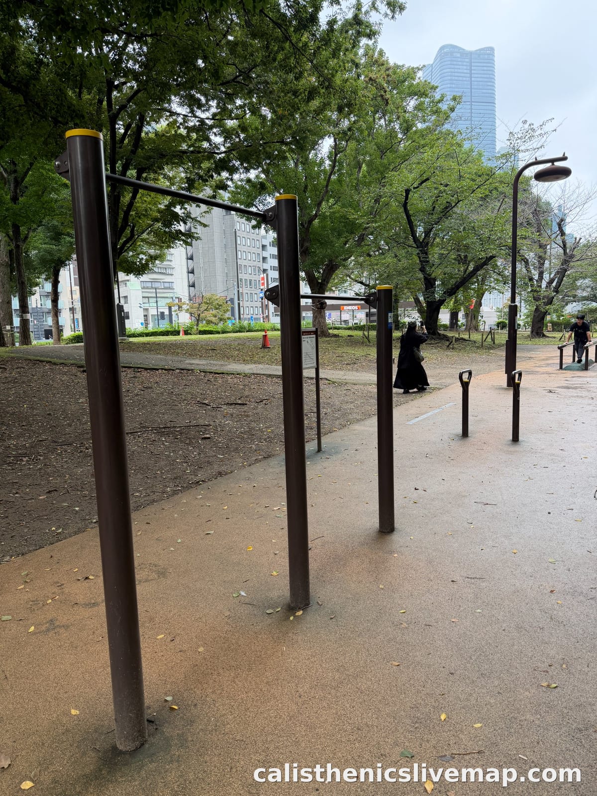 park pullup bar and station